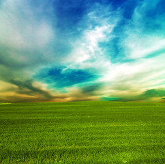 grass green landscape
