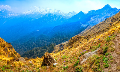 Fototapeta na wymiar Himalayan mountain range