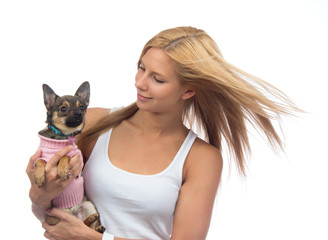 woman hold in hands small Chihuahua dog or puppy