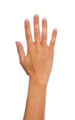 Manicured female open hand gesture number five fingers up i