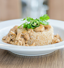 Chicken with brown sauce on rice