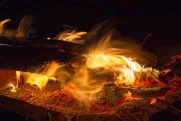 burning wood in the fire