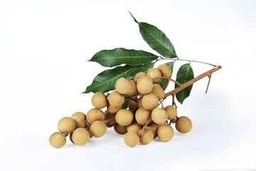 Golden Longan