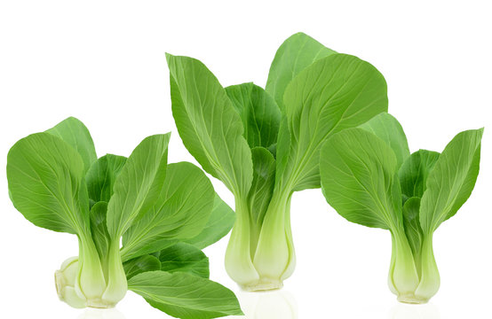 vegetables green pakchoi isolated on white background