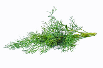 Dill