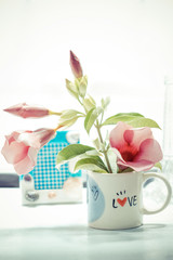pink flower in love cup on table