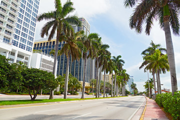 Wide road with tall palms and modern buildings in Miami Beach