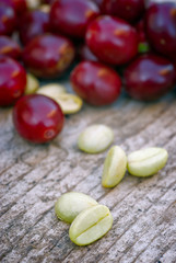 Green coffe (coffea arabica)