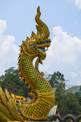 Fototapeta na wymiar Buddhist dragon