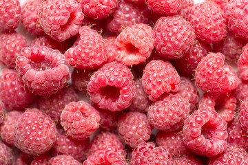 Raspberry fruit background