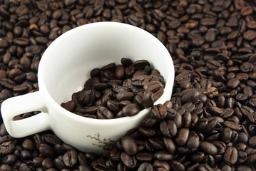 Coffee beans in cup