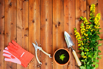 Copyspace frame with gardening tools on old wooden background