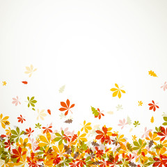 Fototapeta na wymiar Vector Illustration of Autumn Leaves