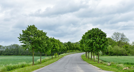 Typical road landscape in Walloon - 67230853