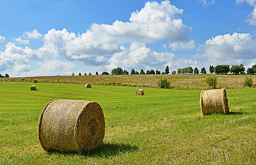 Typical agricultural landscape of Walloon, Belgium in summer - 67231077