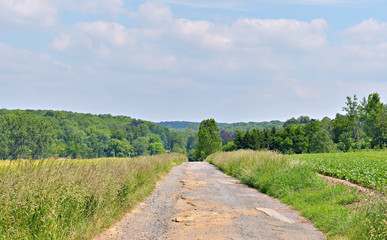 Village road in Walloon in summer, Belgium