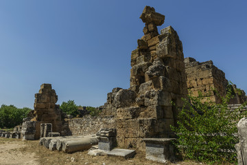 Fototapeta premium Aphoridisias