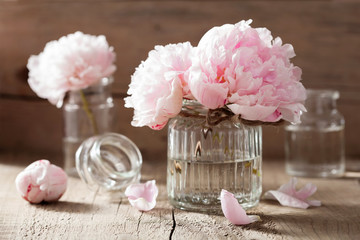 beautiful pink peony flowers bouquet in vase - obrazy, fototapety, plakaty