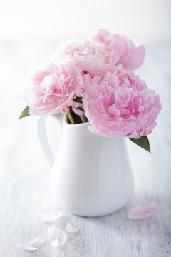 Fototapeta beautiful pink peony bouquet in vase