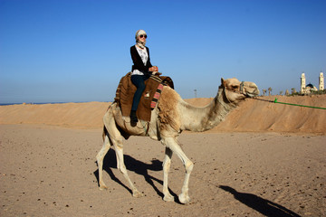 Girl raiding on camel