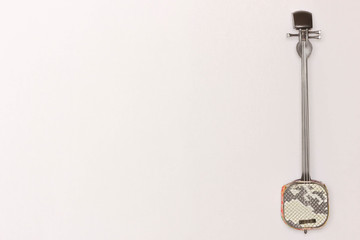 Shamisen on white background