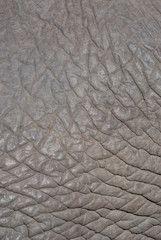 Elephant skin pattern