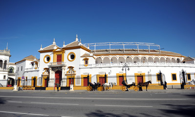 Fototapeta premium Bullring, Maestranza, Seville, Spain