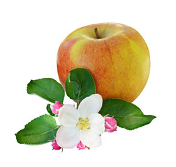 Apple and flowers