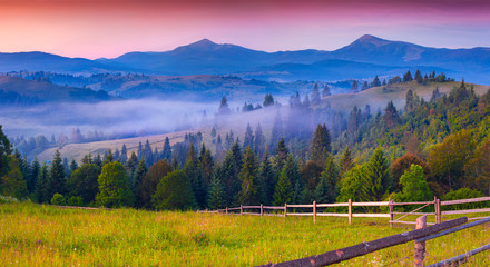 Foggy summer morning in the Carpathian mountains.