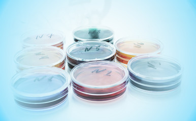 Color liquid in old plastic petri dishes