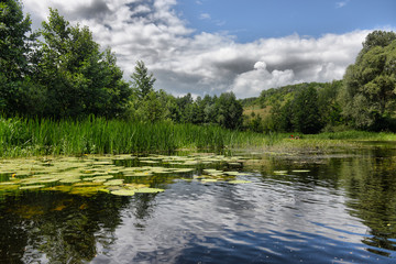 river Sula summer cloudy day