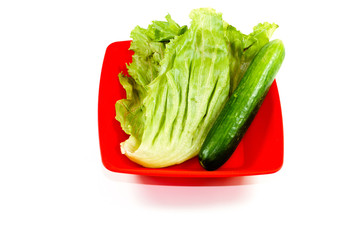 Frische Grüne Gurken mit Eisberg Salat