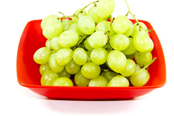 Frische Grüne  Trauben