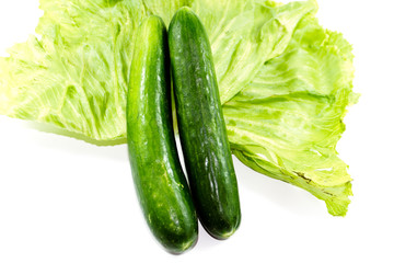 Frische Grüne Gurken mit Eisberg Salat