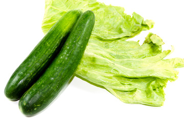 Frische Grüne Gurken mit Eisberg Salat