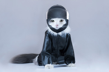 Cat motorcycles