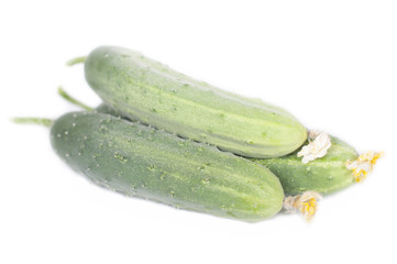three fresh cucumber