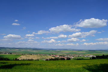 Fototapeta premium Landscape