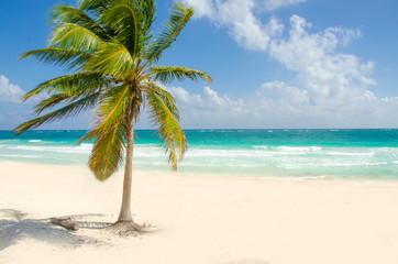 Plakat Wild Beach at Tulum - Yucatan Mexico