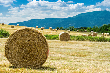 Hay Roll Landscape View