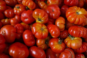 Local tomato