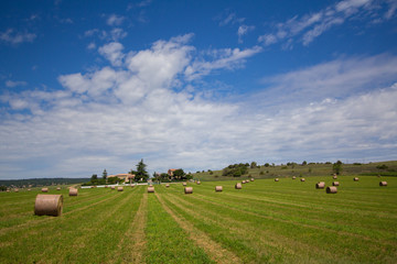 Summer rural landscape with a field and haystacks