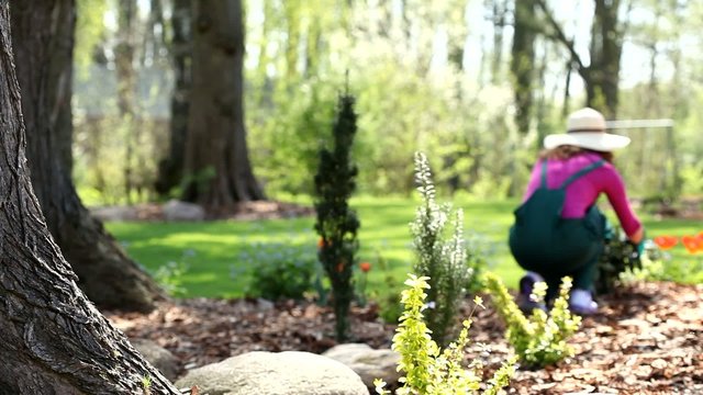 Gardener woman working video