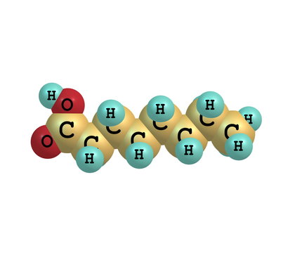 Heptanoic (enanthic) acid molecule isolated on white