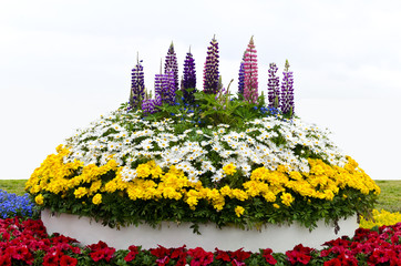 Buntes Blumenbeet