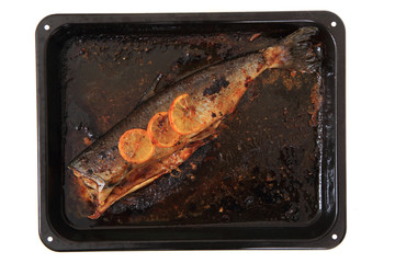 baked salmon fish