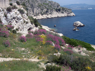 Vue terre/mer