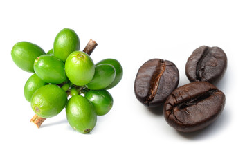 coffee beans and raw coffee Isolated on white background.
