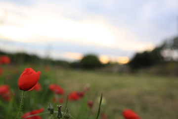astrofotografia, astrophotography, nikon, italy, milky way, puglia, salento, via lattea, otranto, Angelo Perrone, Angelo, Perrone, nikon, paesaggio, landscape, italia, fotografare, cielo, notturno, li