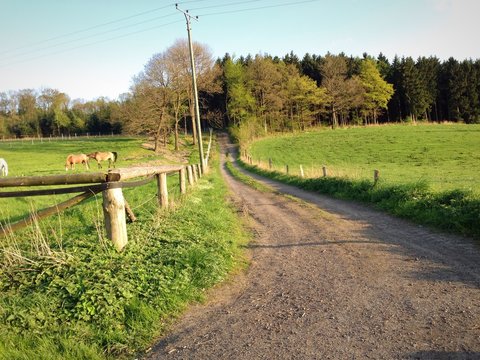 Der Feldweg